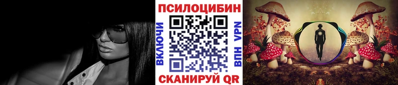 Галлюциногенные грибы Psilocybe купить сайты Подольск